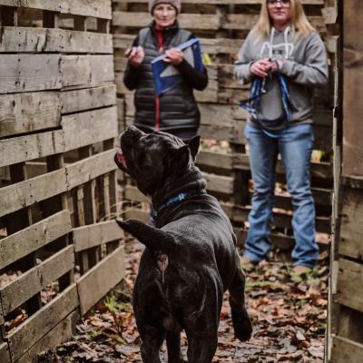 20230210 Nadac Monroe Mv29853