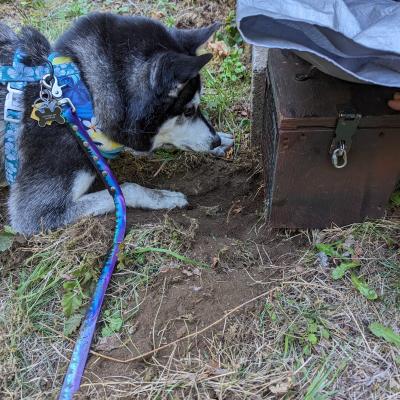 Pxl 20230914 212329418